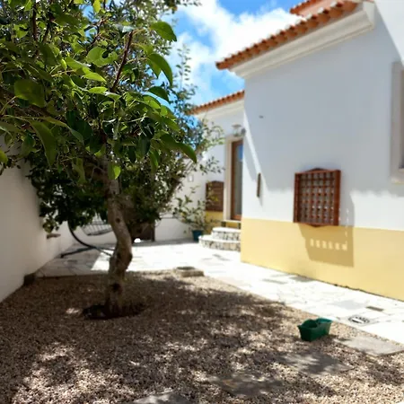 Bright And Spacious With Patio And Bbq *