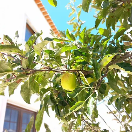 Villa Bright And Spacious With Patio And Bbq Serra d'El-Rei
