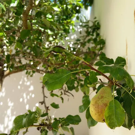 Villa Bright And Spacious With Patio And Bbq